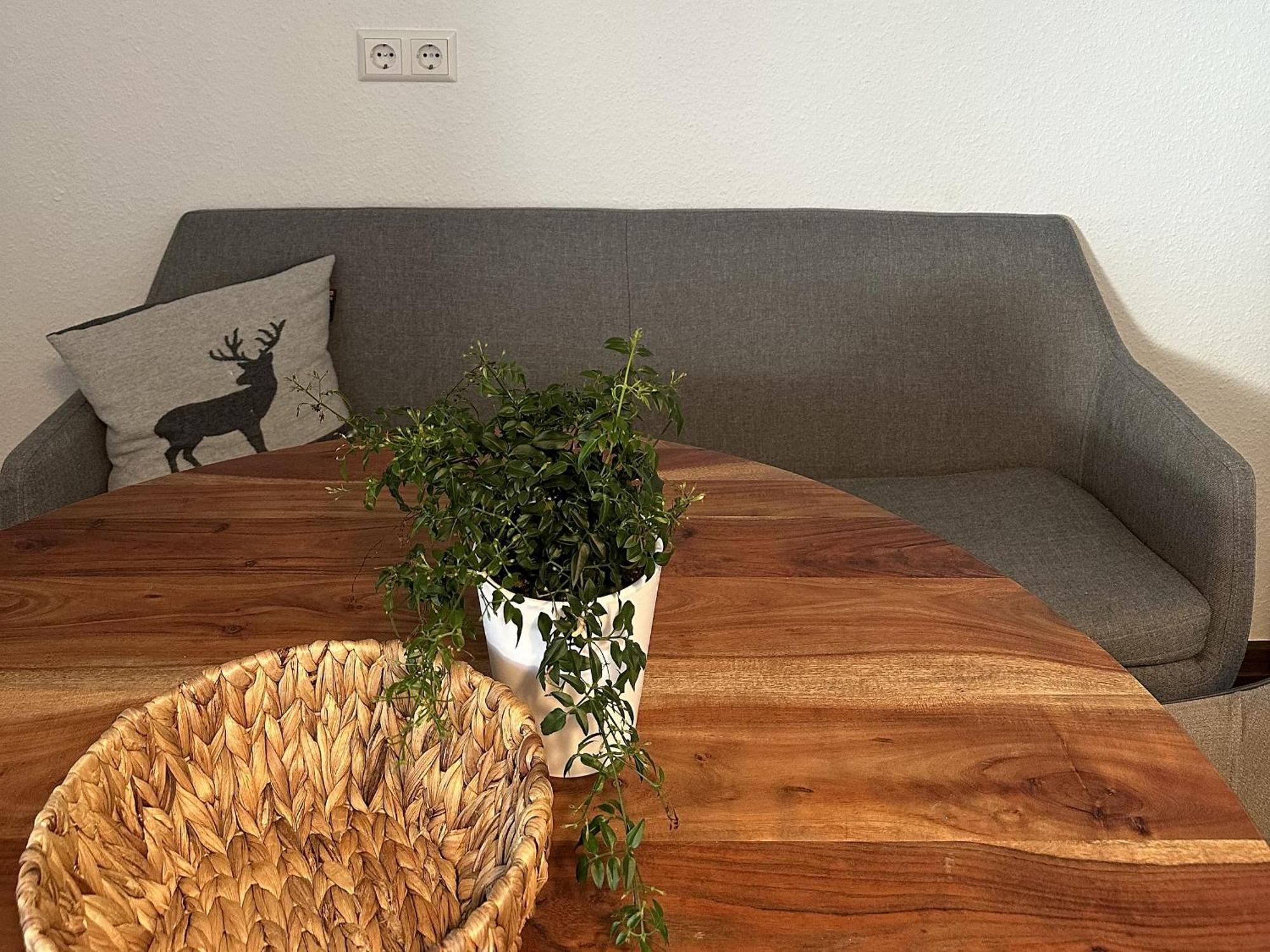 Apartmán Haus Albi Waldkirch Exteriér fotografie